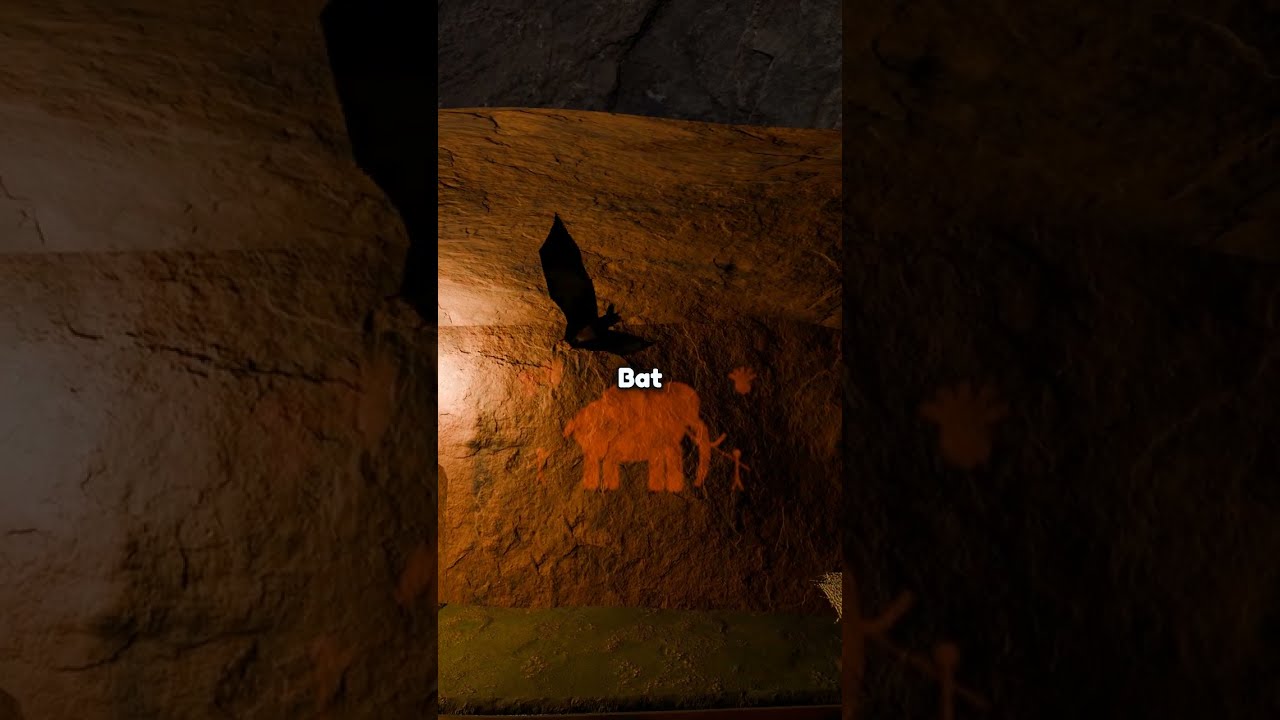How a Cave Becomes a Home